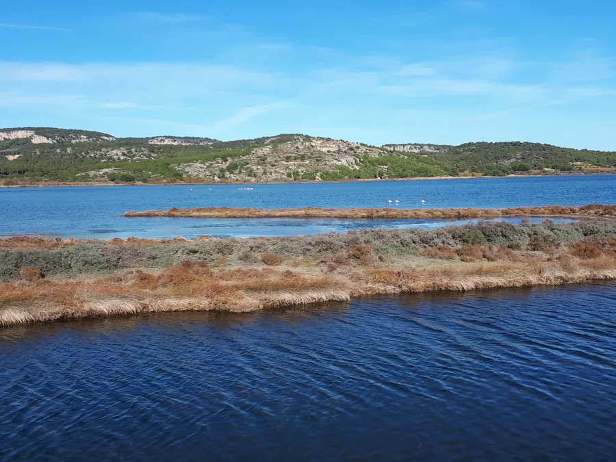 L'étang de Gruissan, zone humide du parc naturel de la Narbonnaise